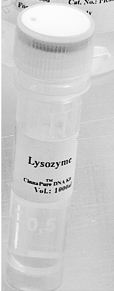 Lysozyme,500mg