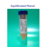 Phenol (Equilibrated, pH 8)
