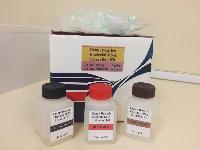 Genomic DNA Extraction Kit from Gram Negative Bacteria