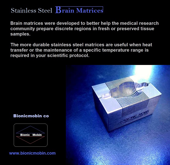 ماتریس مغز موش ازملیشگاهی