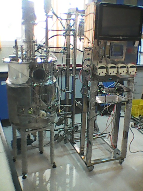 Fermentor Biocanvas 500 L
