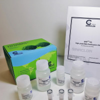 DNA EXTRACTION Kit (DNP™) 50T-EX6071