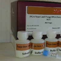 کیت استخراج DNA از قارچ و مخمر