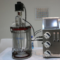 Glass Autoclave able Lab Scale Fermenter