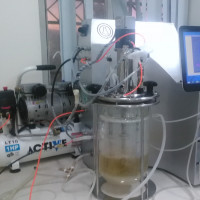 فرمانتورسلولی