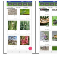 نرم افزار بادرام