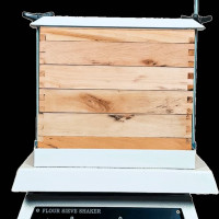 شیکر الک ارد