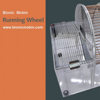 Running Wheel