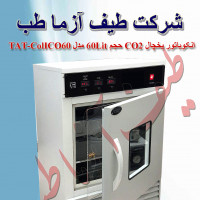 انکوباتور یخچال CO2 حجم 60Lit