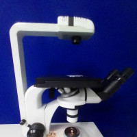 میکروسکوپ بیولوژیک اینورت
