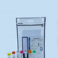 ATRScript first strand cDNA Synthesis kit