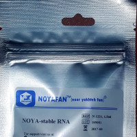 NOYA-stable RNA