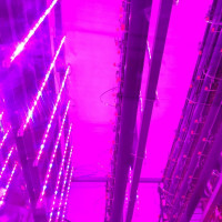 گلخانه تاریک انرژیتیک