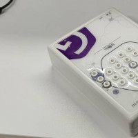 electroencephalography segal sense