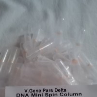 ستون استخراج ژنوم DNA مینی