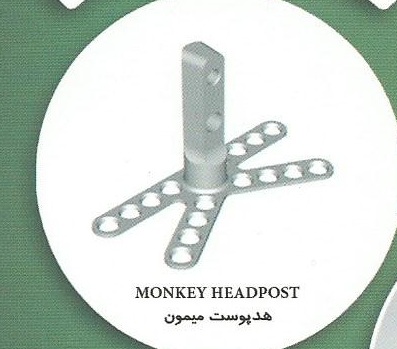 هدپست میمون