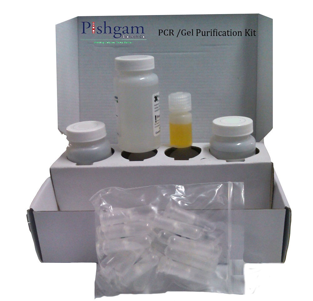 PCR/Gel Purification Kit-50 tests