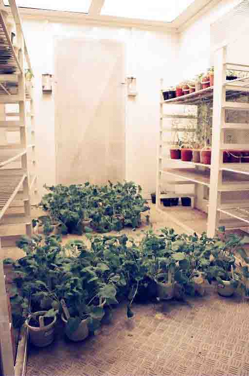 اتاق رشد گیاه تحقیقاتی