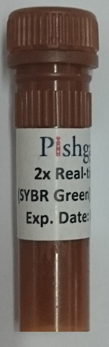 2x Real-Time PCR Master Mix-Sybr Green-100rxn-1ml