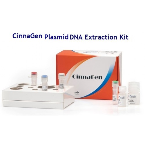 Plasmid DNA Extraction , 50Test