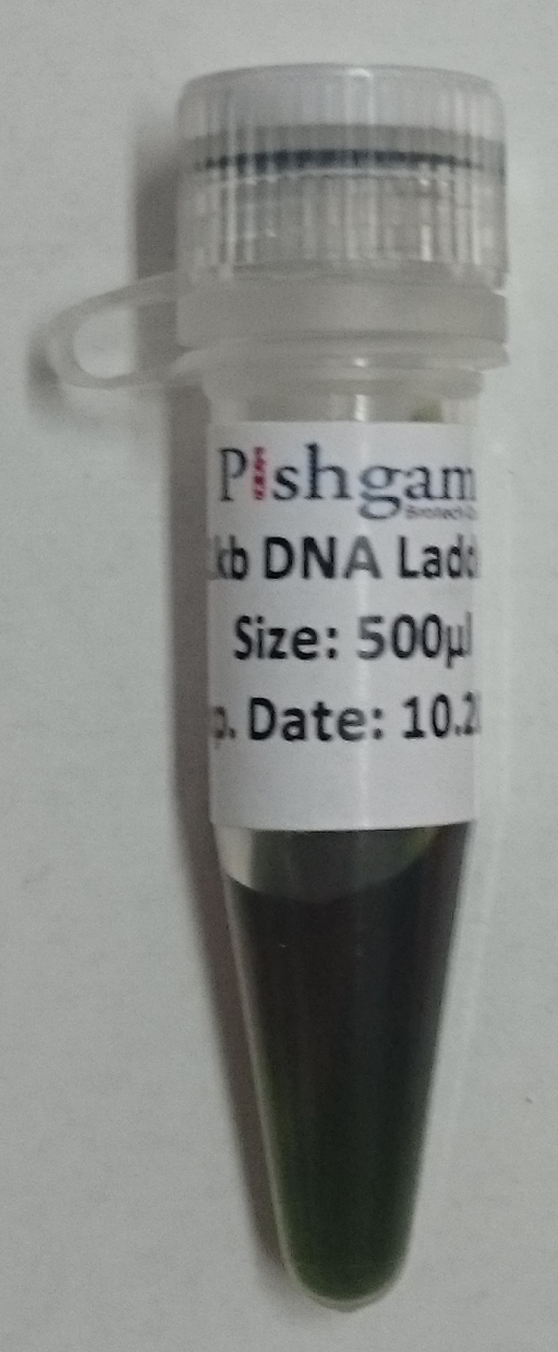 1kb DNA Ladder-Ready to Load-250-10,000bp-500ul