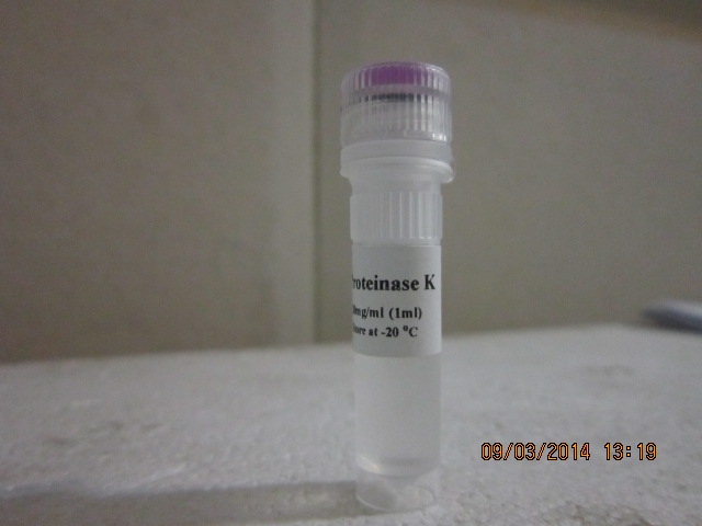 Proteinase K, 1ml,20mg/ml