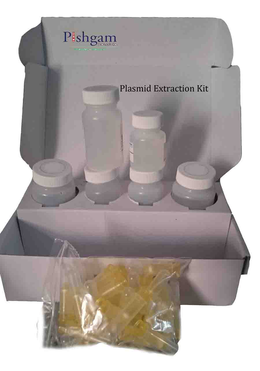 Plasmid Extraction Kit-50 tests
