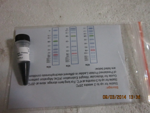 Prestained Protein Marker,(10-170kDa),500µl