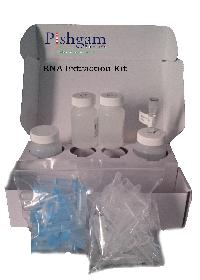 RNA Extraction Kit-50 tests