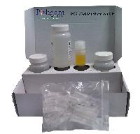 PCR/Gel Purification Kit-50 tests