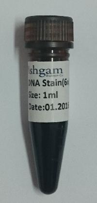 Safe DNA Stain-6x-1ml