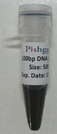 100bp DNA Ladder-Ready to Load-100-3000bp-500ul