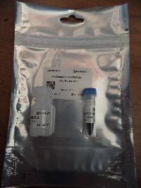 KiaDirect Blood PCR Kit