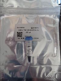 (Western Blot Protein Marker (25-90 kDa