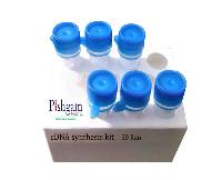 cDNA Synthesis Kit-50 tests