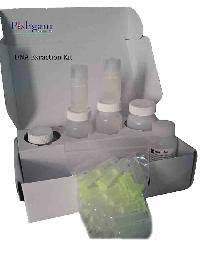 DNA Extraction Kit-50 tests